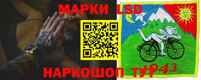 ПСИЛОЦИБИНОВЫЕ ГРИБЫ Можга