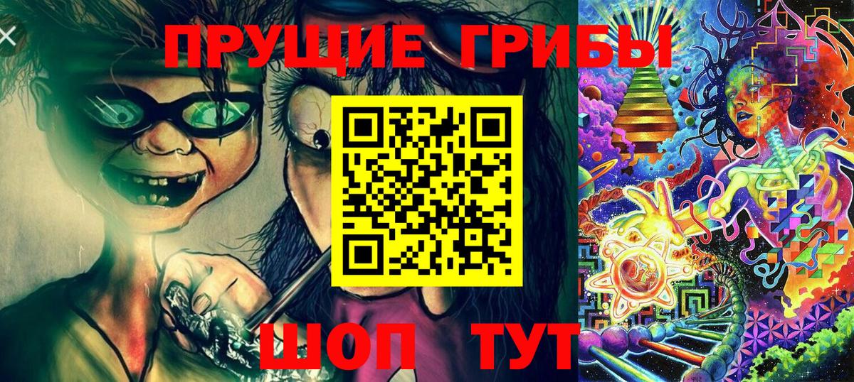 Галлюциногенные грибы Psilocybine cubensis  как найти   Железноводск  Вход с VPN 