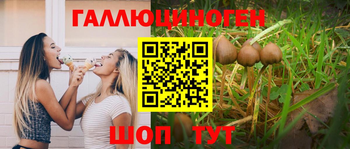 Галлюциногенные грибы ЛСД Железноводск